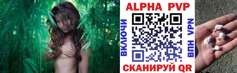 Альфа ПВП СК  Купить где  Томари 