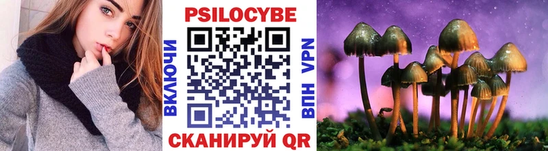Купить закладки  Томари  Галлюциногенные грибы Psilocybine cubensis 